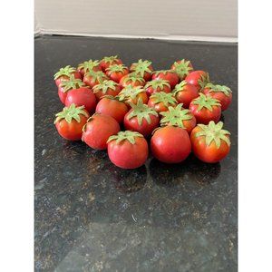 Realistic Micro Tomatoes with Green Stems, Plastic (Qty. 27)